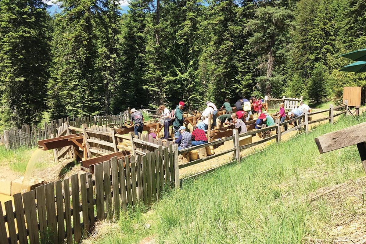 Courtesy U.S. Forest Service.  (SSR)