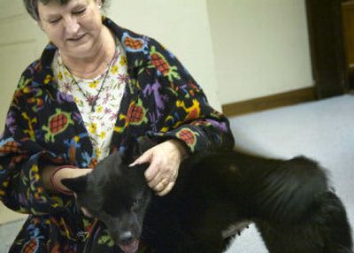 Janet Biegler pets Gigi Thursday at SpokAnimal C.A.R.E. Gigi will rejoin her family soon in Alabama, after being left in Louisiana behind during Hurricane Katrina.
(Holly Pickett / The Spokesman-Review)