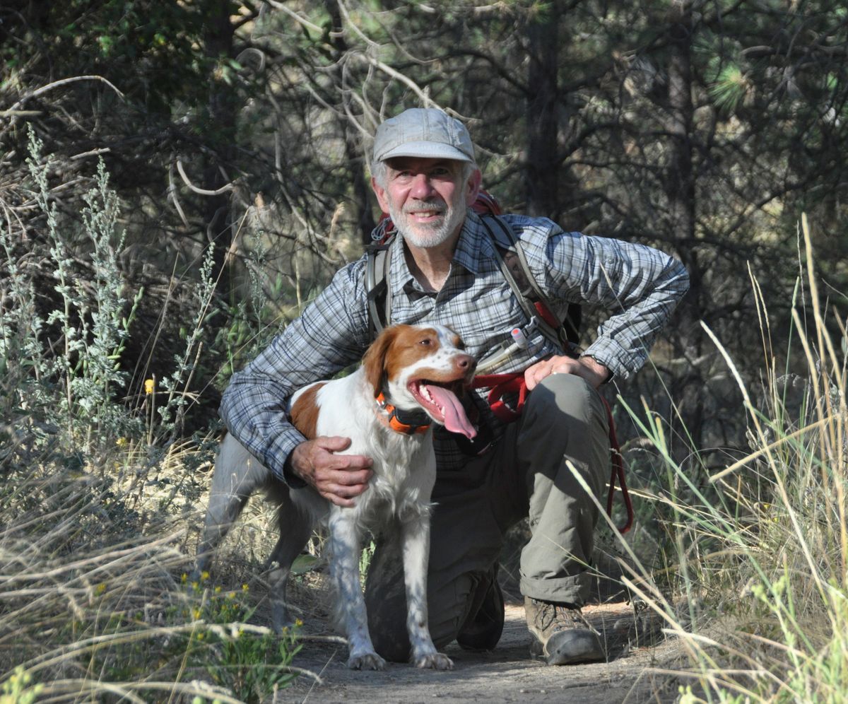 Hiking with dogs 2025 in bear country