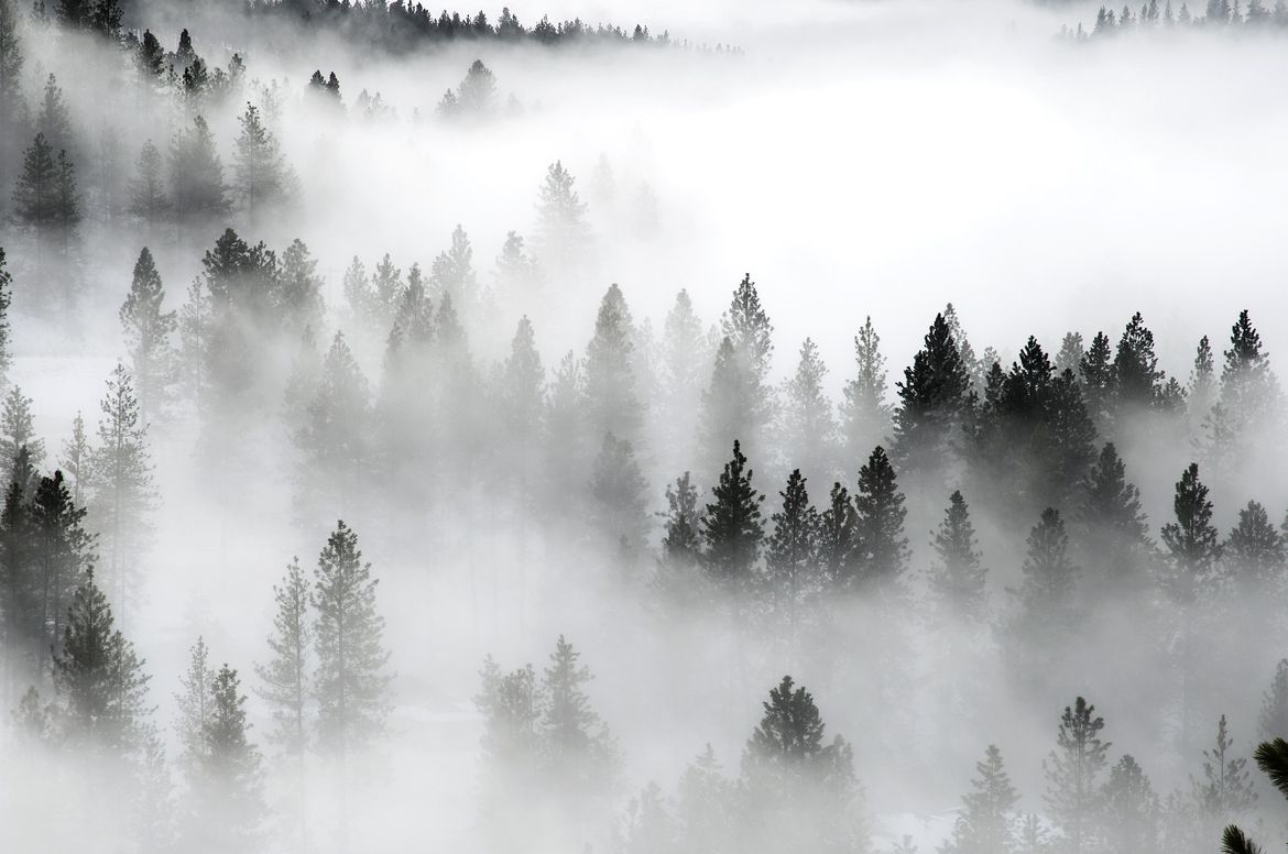 inland-northwest-in-the-thick-of-peak-fog-season-the-spokesman-review