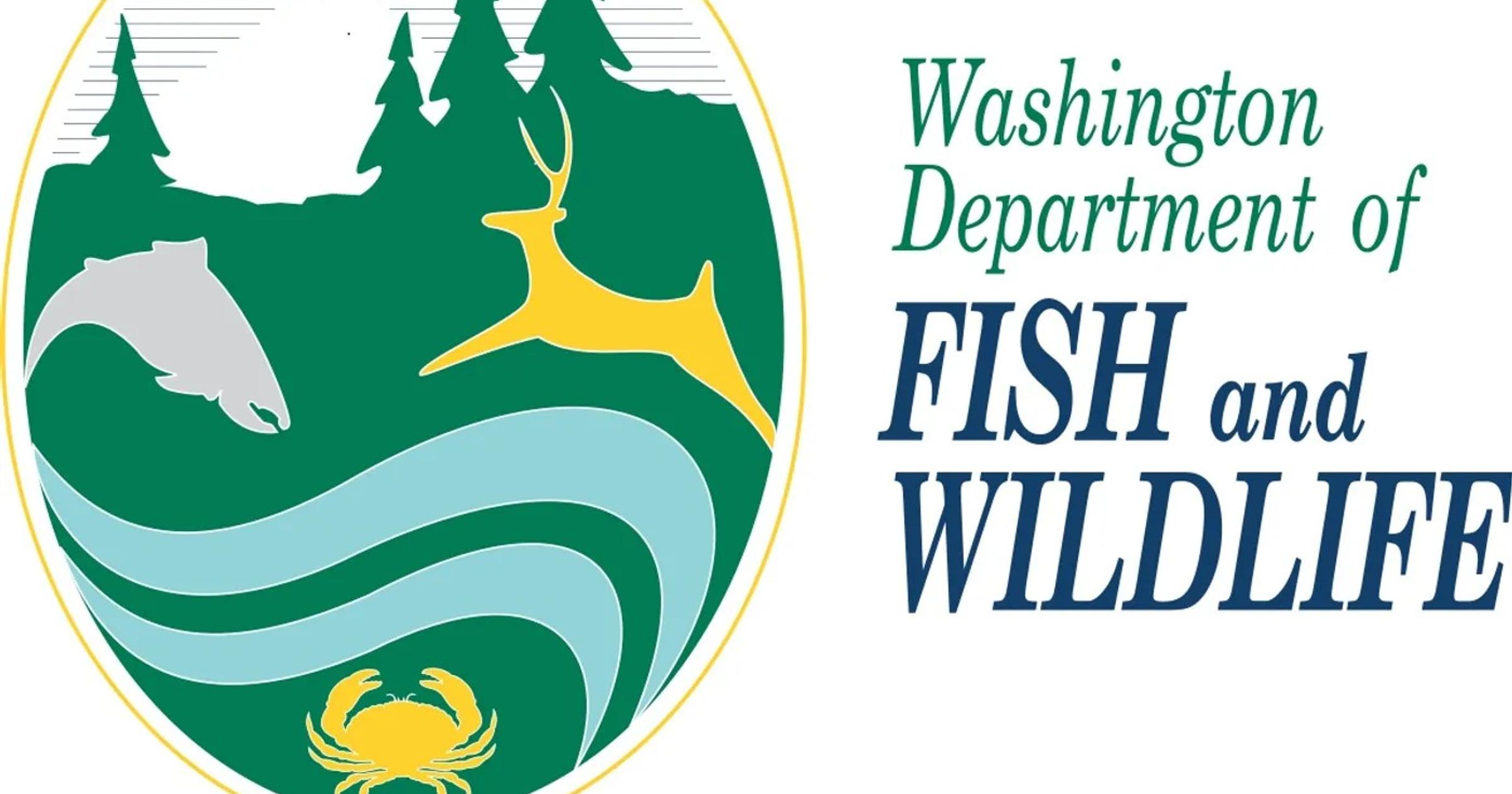 Washington Fish and Wildlife Commission probe finds wrongdoing, doesn’t recommend punishment