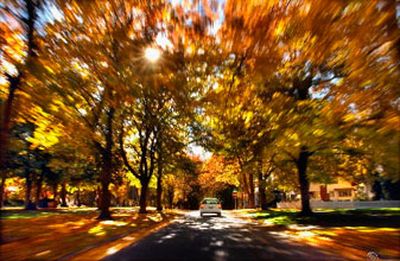 
Manito Boulevard on Spokane's South Hill offers an amazing look at some of the season's best foliage. Beyond Spokane, there are several great spots to see the best fall has to offer.
 (Christopher Anderson photos/ / The Spokesman-Review)