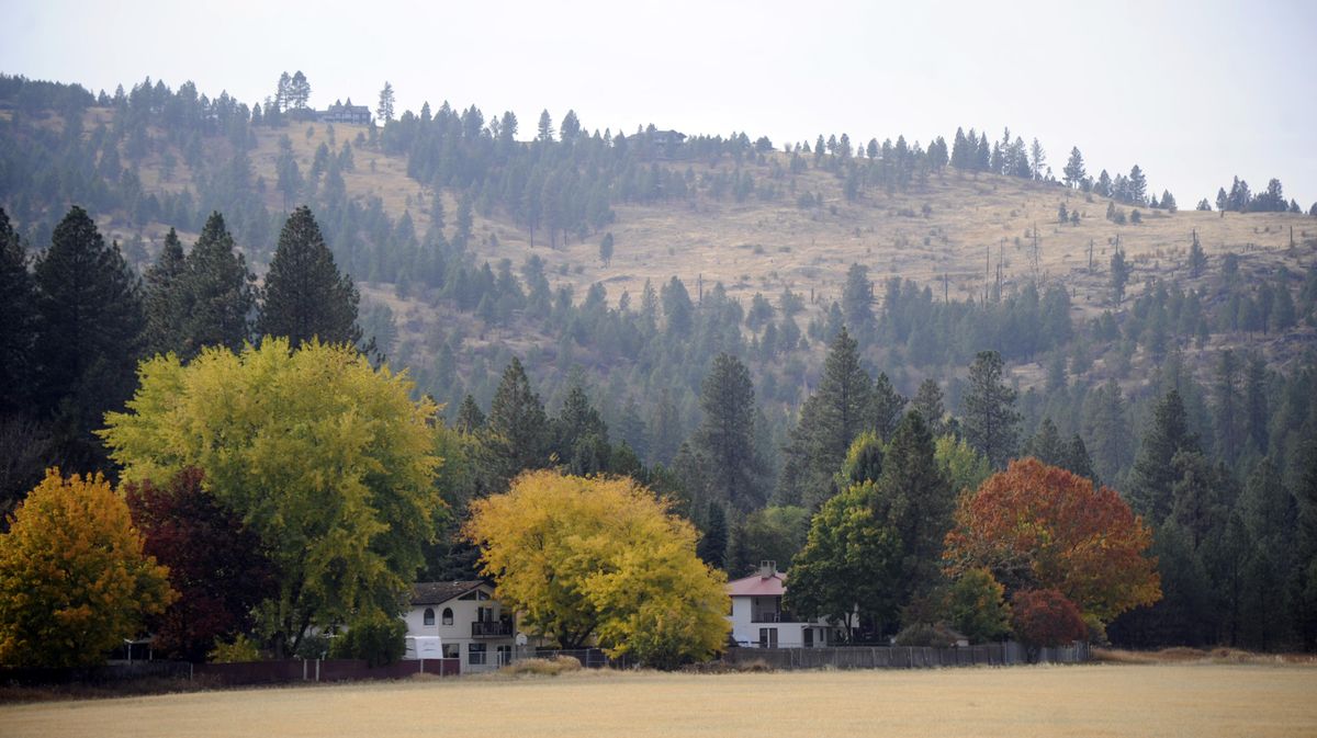 Present day: The hills above the Ponderosa neighborhood on the east slope of Browne Mountain were once the slopes of the Ski-Mor ski area in the 1930s and early 1940s. (Jesse Tinsley / The Spokesman-Review)