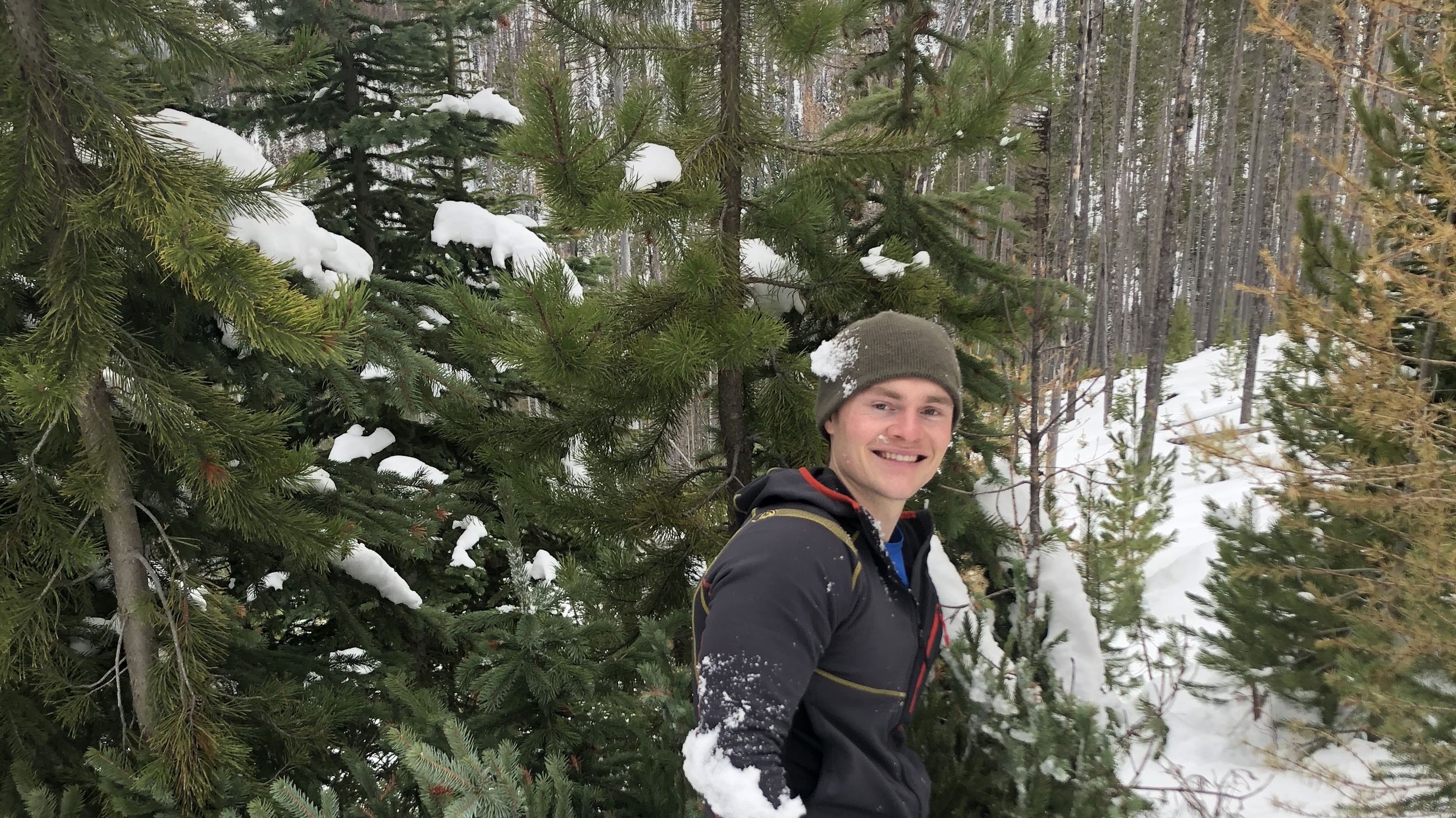 Where To Get Colville Forest Christmas Tree Permits 2022 Ski Cutting: Forest Service Permit Offers Hardy Skiers Chance To Snag A Christmas  Tree | The Spokesman-Review