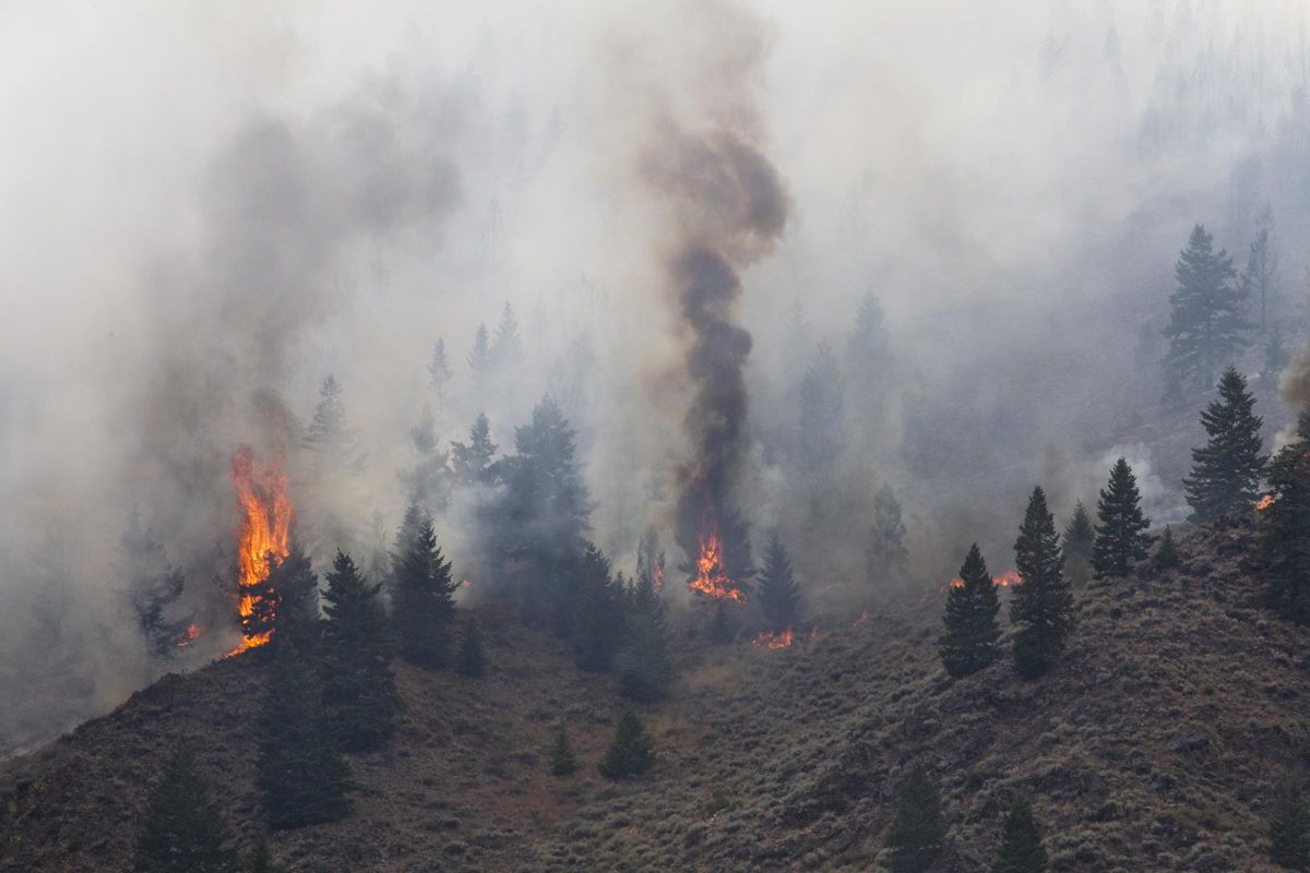 Firefighters continue to battle the Beaver Creek Fire in the Wood River Valley as it drops down the canyon hillside west of Hailey Saturday Aug. 17, 2013. (Darin Oswald / Idaho Statesman)