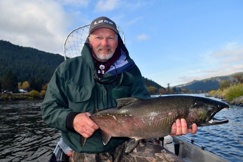 Idaho Falls angler Steve Micek landed an 11.8-pound coho from the Clearwater River on Nov. 9, 2014, to set an Idaho state record for ocean-run coho salmon.  (Courtesy)