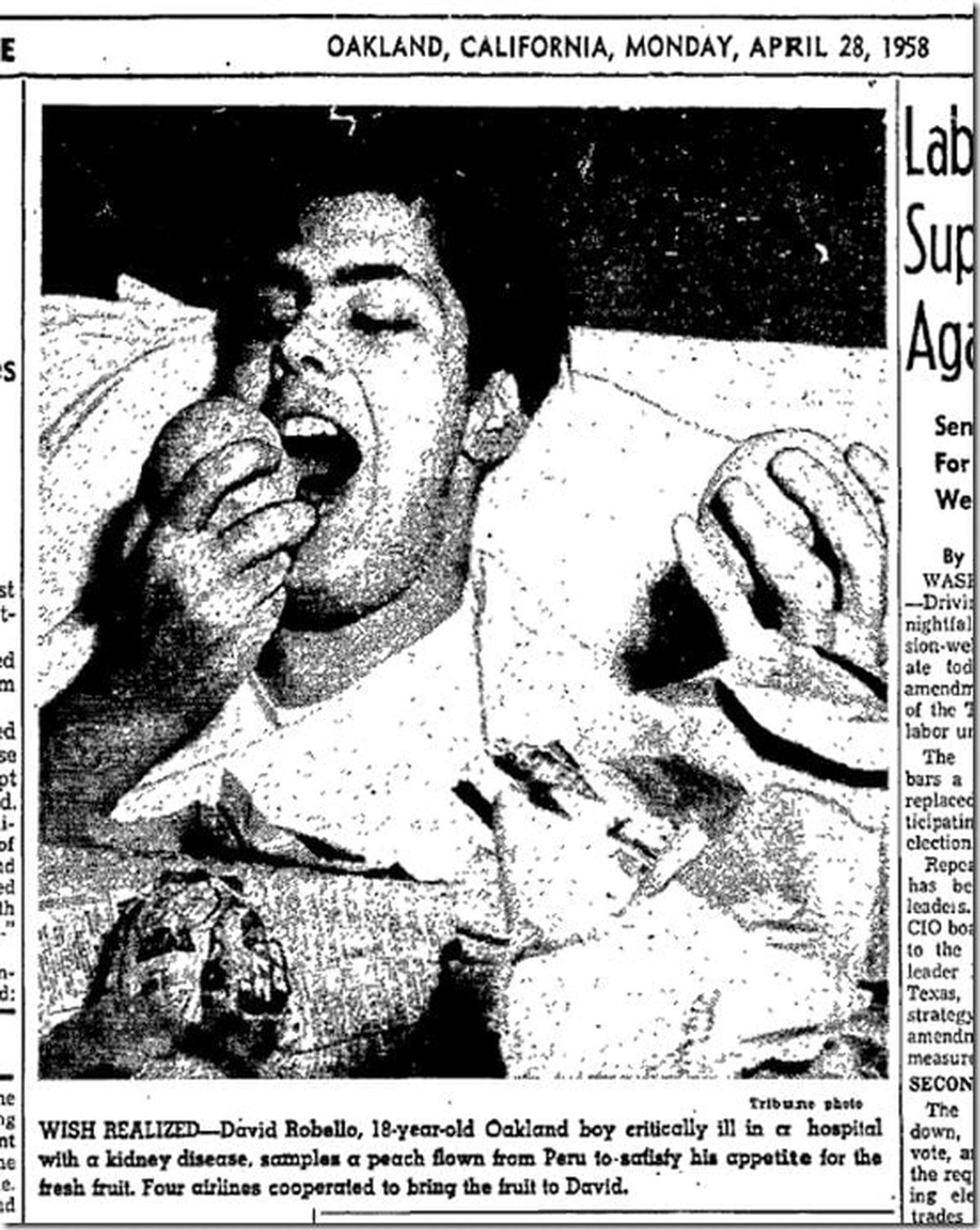 David Robello got his peaches, but they were from Peru. And it was five days later, with the first story appearing April 23, 1958, and the last on April 28, 1958. 