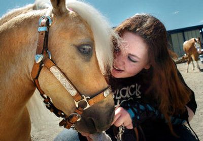 Meghin Callesto, of Green Acres, calms Buster, a Miniature Palamino on July 3 the Spokane Fair and Expo Center. Dozens of horses and riders from Montana, Idaho, Oregon and Washington turned out for the 15th Annual Inland Empire Equine Classic. 
 (File/ / The Spokesman-Review)