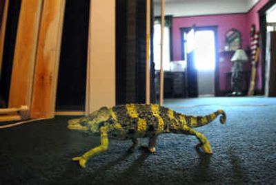 Boomer the chameleon feels right at home with reptile rescuer Mary Ellen Kerney. Page 14
(The Spokesman-Review)