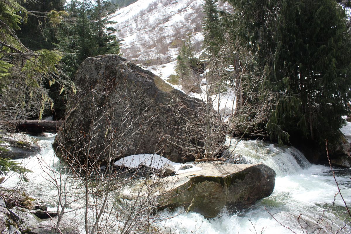 Mountain Wall Art Print, Taylor Mountain selling Idaho Springtime