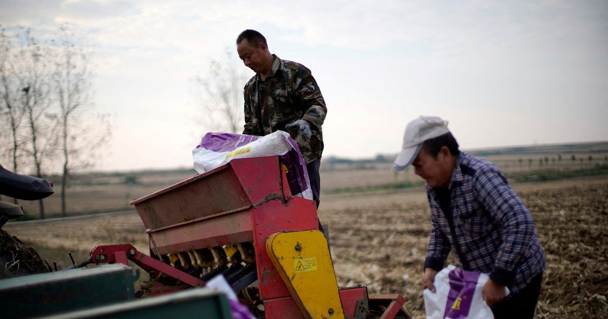 Farmers see fertilizer prices jump as Iran blocks key shipping route