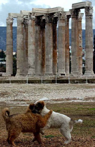 
 Puppies play as the Temple of Zeus is seen in the background in Athens in January.
 (File/ Associated Press / The Spokesman-Review)