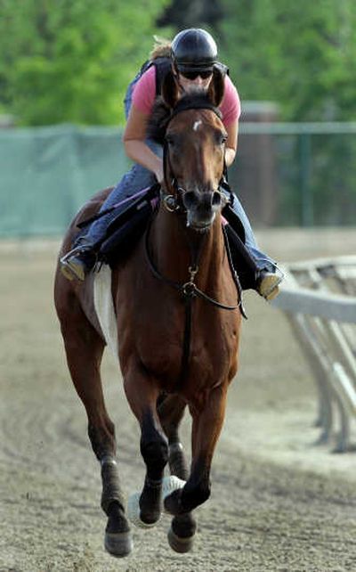 
Exercise rider Michelle Nevin jogs Kentucky Derby winner Big Brown at Pimlico Race Course in Baltimore on Thursday. Big Brown is favored to win the Preakness Stakes on Saturday. Associated Press
 (Associated Press / The Spokesman-Review)