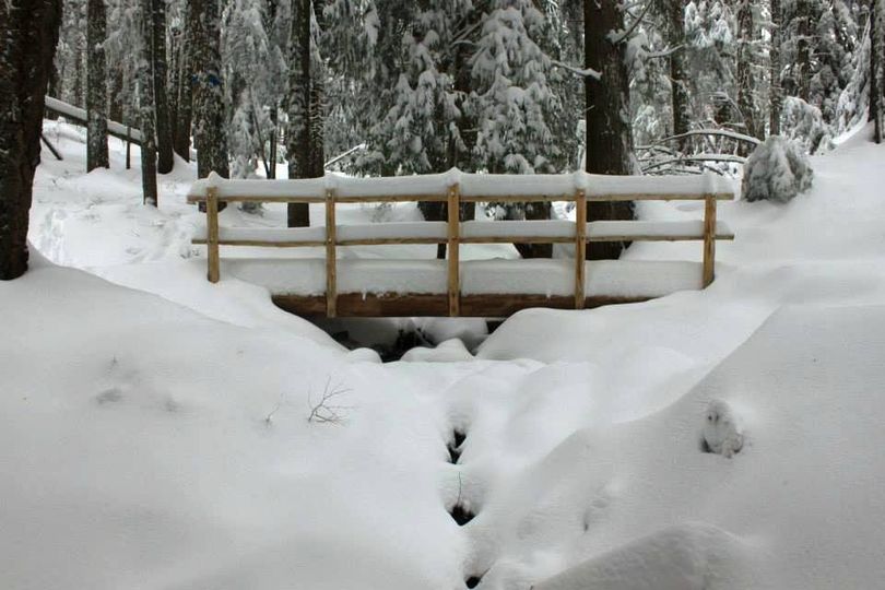 Snowshoers use the bridge volunteers built in the fall of 2013 across Burping Brook in Mount Spokane State Park. (Holly Weiler)