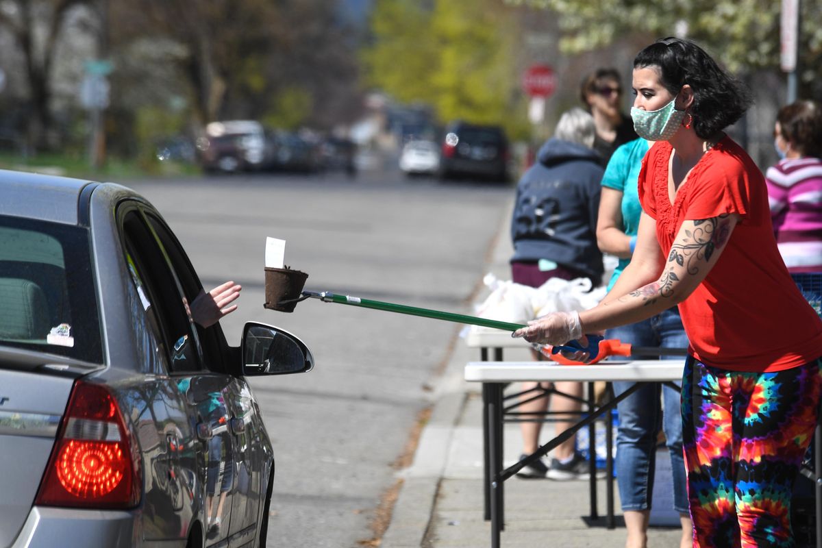 Patricia Lane, Logan Elementary School paraeducator and crossing guard, offers up a starter tomato plant supplied by Gonzaga University’s ZagDining by Sodexo on Tuesday during food distribution at the school. (Dan Pelle / The Spokesman-Review)