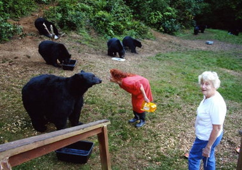 Karen Noyes (in red) and her cousin, Gayle Novak, feed bears on Noyes' property near Yachats before Noyes was kicked out of her home by a judge for continuing to feed the animals. Novak had traveled to Yachats just to meet the bears. (Karen Noyes)