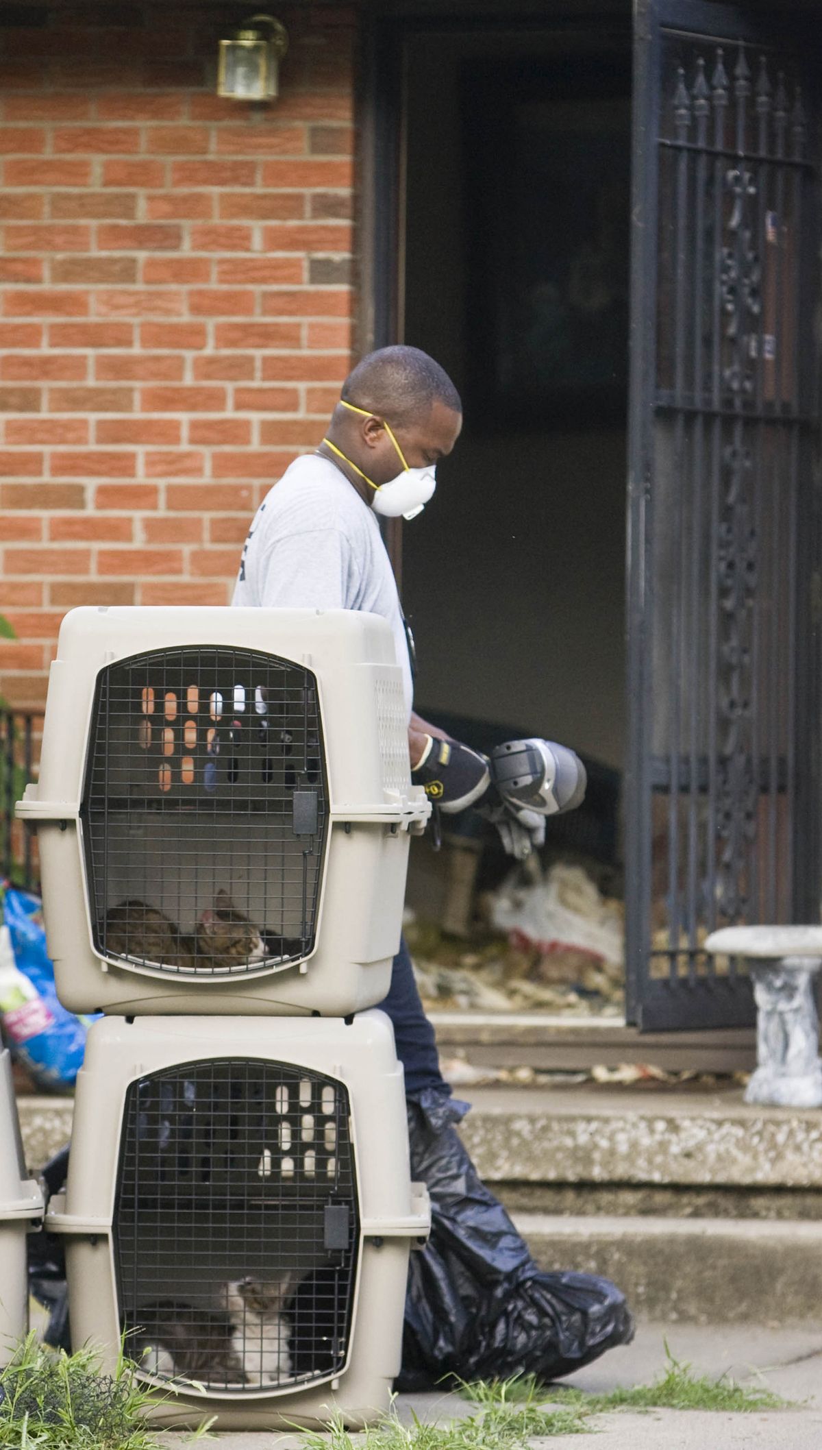 Animal Health and Public Safety officer Eron Dawkins removes cats from a home in Kansas City, Mo., where authorities found approximately 80 live cats and more than 40 dead ones.