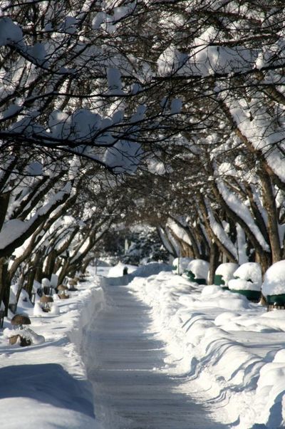  (The Spokesman-Review)