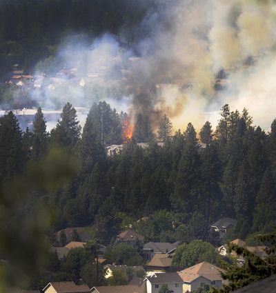 Flames torch a tall pine as a wildfire near the South Hill Target gets into trees, Friday July 31, 2020. A new insurance program from Wildfire Defense Systems and State Farm will protect policy owners by allowing defensive teams into a fire area and defend against loss of property.  (Christopher Anderson For The Spokesman-Review)