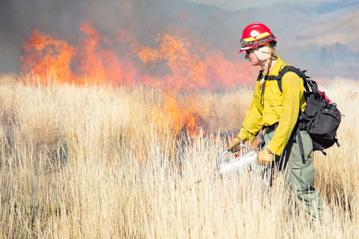 Prescribed burns like this one set in October 2019 were fewer this year in Yellowstone National Park due to extremely dry conditions amplified by little rainfall in June, a normally wet month.  (NPS/Jacob W. Frank)