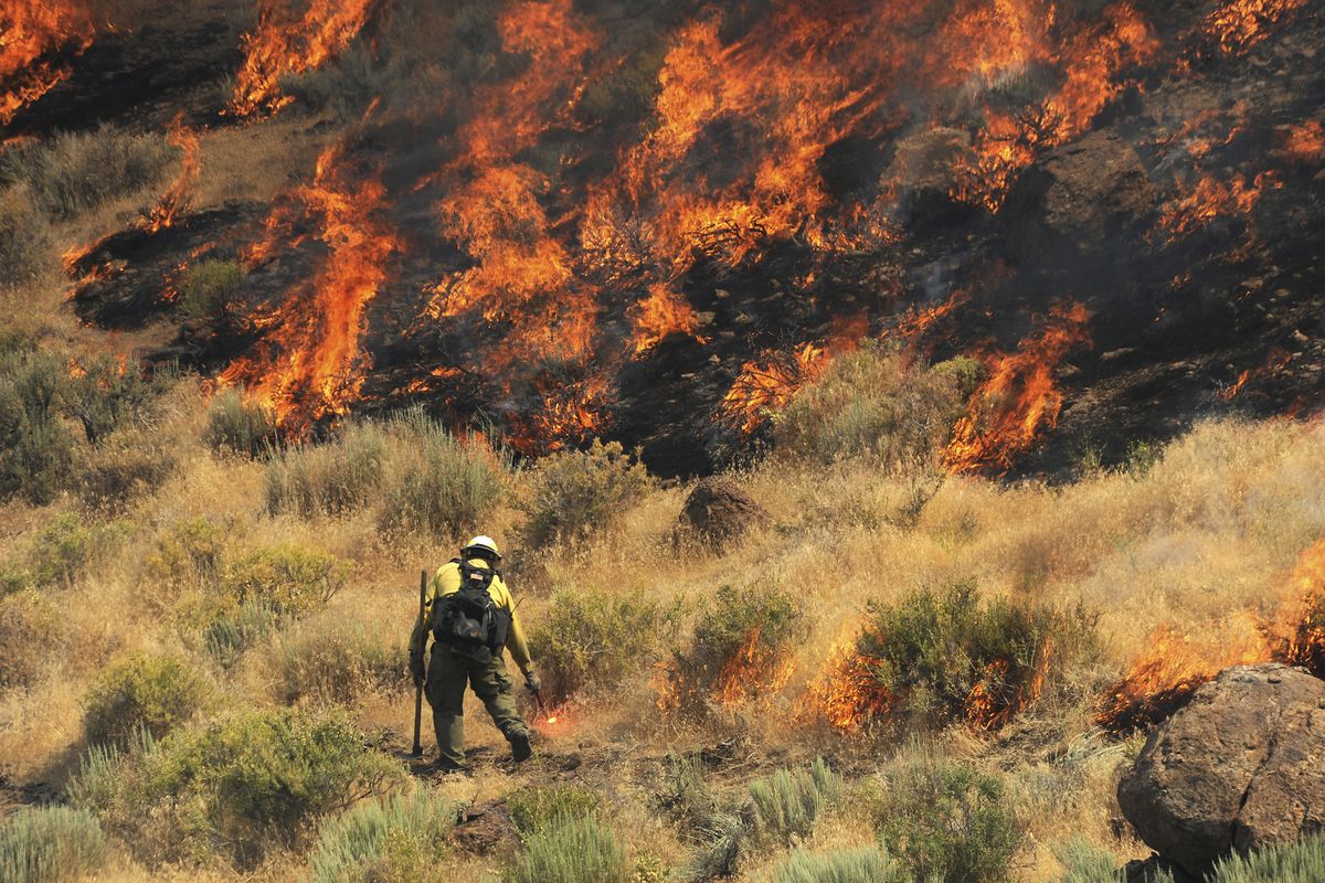 A firebreak is created as crews work to protect a home site from a wildfire along Pyramid Highway in 2017, near Reno, Nev. The Center for Biological Diversity filed a lawsuit under the Freedom of Information Act against the U.S. Bureau of Land Management, accusing federal land managers of illegally withholding information about environmental assessments used to justify plans to create fuel breaks to slow wildfires by clearing forests and shrubs across rangeland in six western states, including Washington. (Jason Bean)