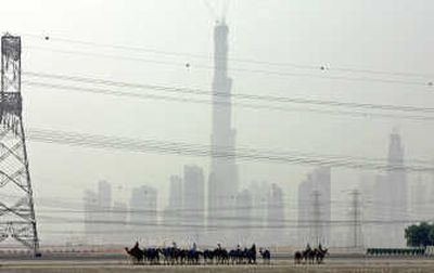 
Racing camels pass under power  lines Saturday in front of the Burj Dubai, a 1,680-foot-tall  skyscraper in Dubai, United Arab Emirates. The building is now taller than Taipei 101 in Taiwan. Associated Press
 (Associated Press / The Spokesman-Review)