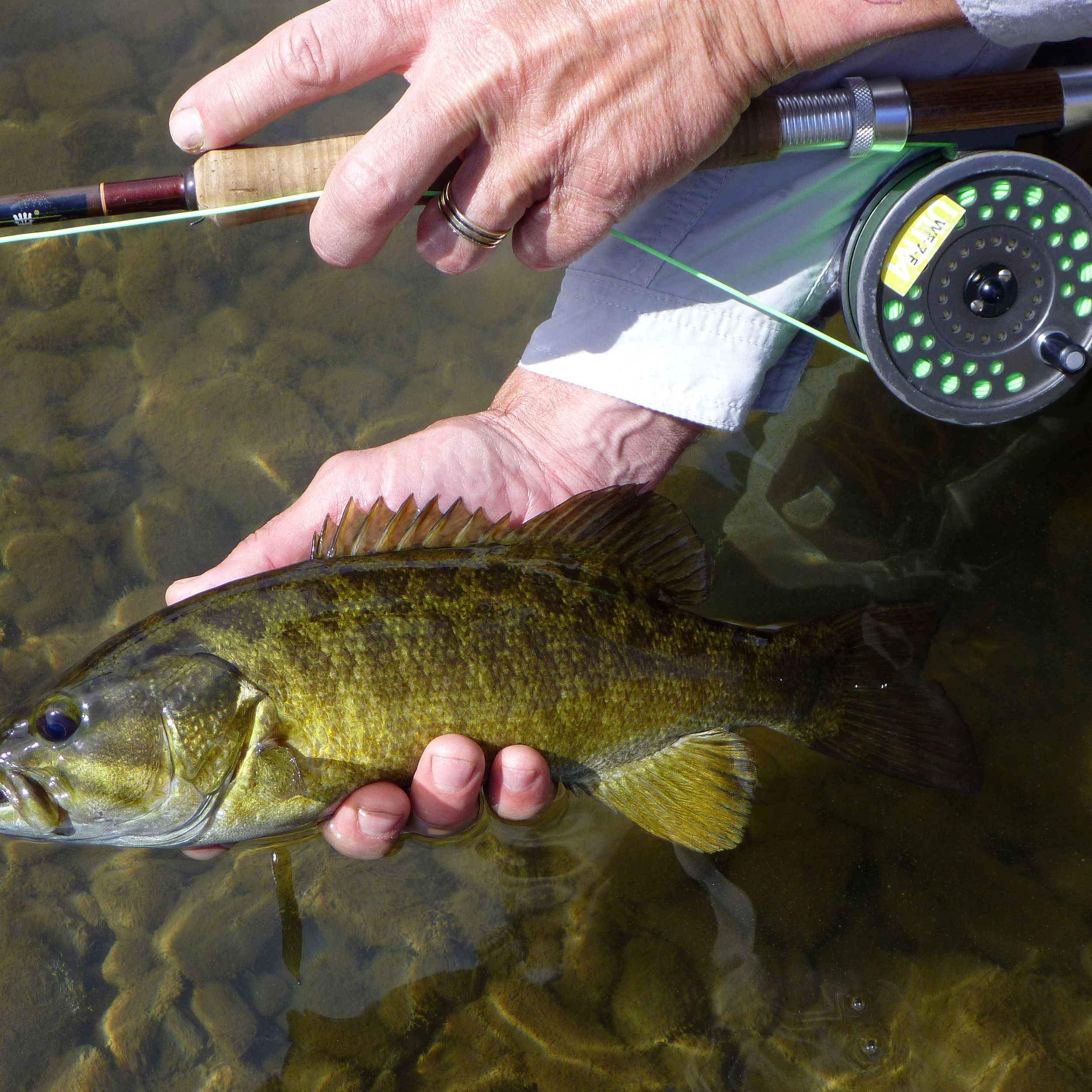 July big month of transitions for Inland Northwest fly fishing