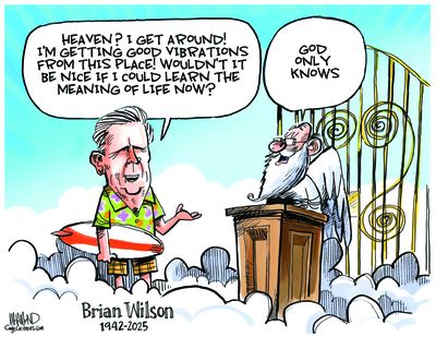 Dave Whamond cartoon  (Dave Whamond)