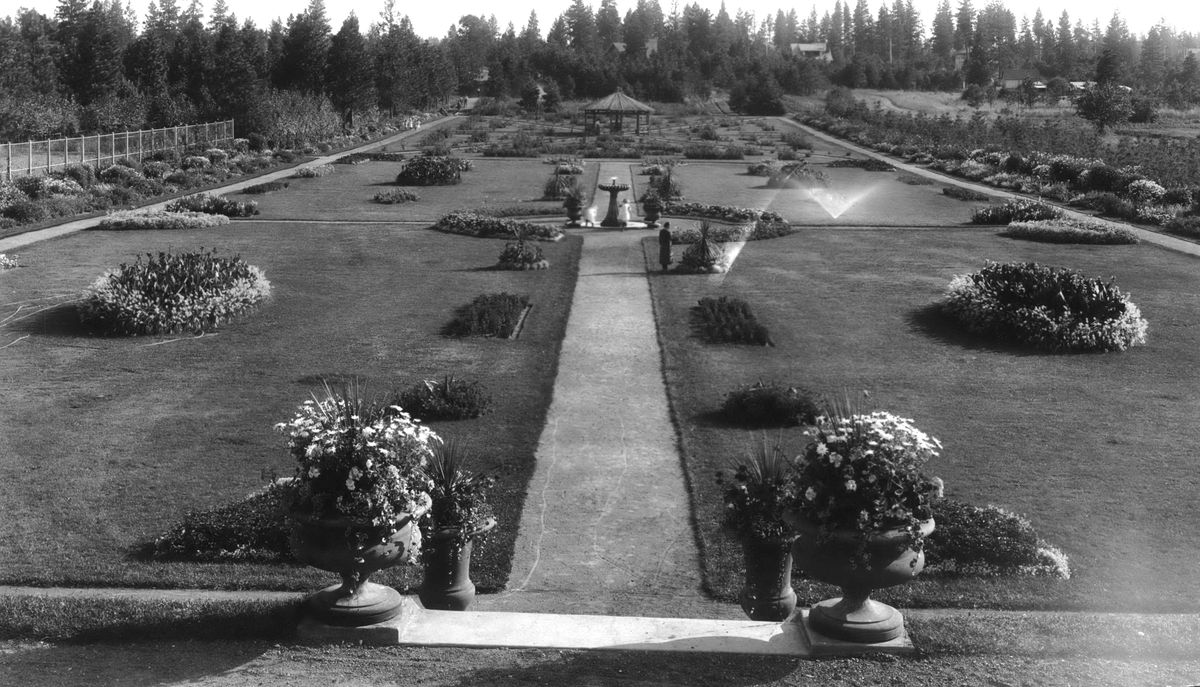 1928 - When Spokane Parks Superintendent John W. Duncan took the position in 1910, this low spot in Manito Park was a muddy swamp left after many yards of dirt had been excavated and taken away for other uses by his predecessor. Duncan had the area leveled and designed a European Renaissance-style garden, with symmetrical planters and pathways and a water feature in the middle. He called it Sunken Garden. It was renamed Duncan Garden in 1941 to honor the beloved Parks Superintendent, who retired in 1942. (SPOKESMAN-REVIEW PHOTO ARCHIVE / SR)