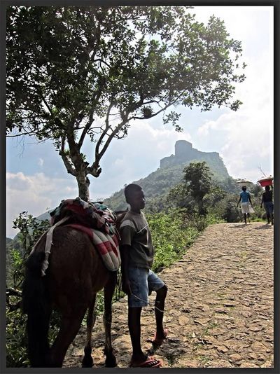 A boy briefly stops up the steep mountain in the northern Haiti town of Milot, where the Citadelle Henry fortress can be seen in the background.  (Jose Iglesias)