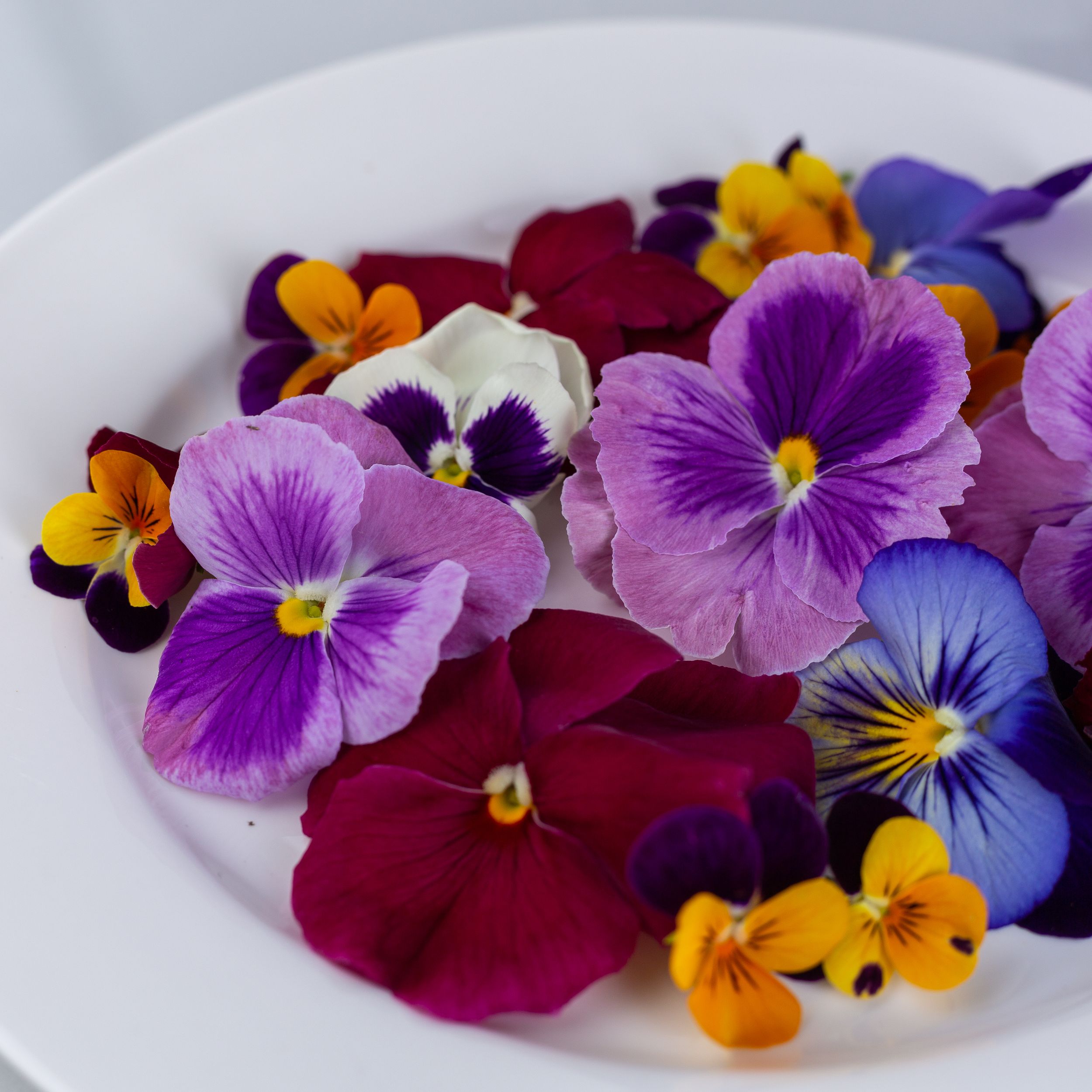 8 edible flowers that will dress up your garden - and your plate