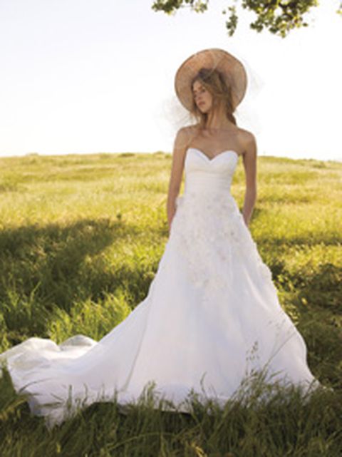 David's hot sale bridal meadow