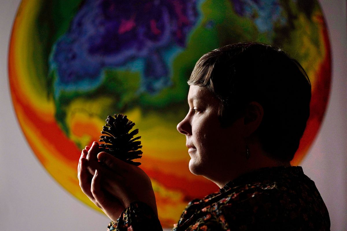 University of Maine climate scientist Jacquelyn Gill examines a cone from a western pine at the Sawyer Environmental Research Center on Wednesday in Orono, Maine. Gill says her work as a paleo-ecologist and climatologist has given her hope for the Earth’s resilience despite global warming. Climate scientists who have been through a lot both personally and professionally say the key is often action.  (Robert F. Bukaty)