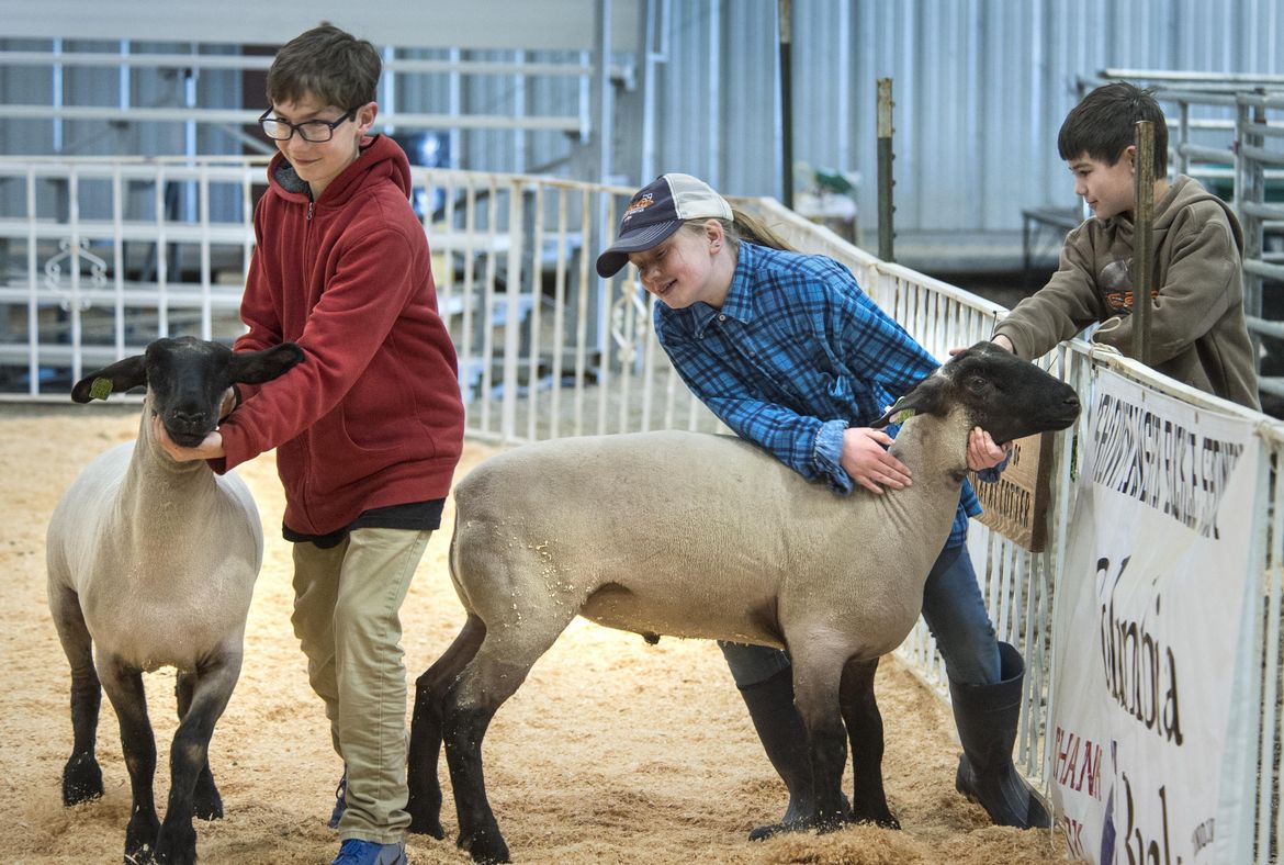 82nd Annual Junior Livestock Show May 4, 2017 The SpokesmanReview