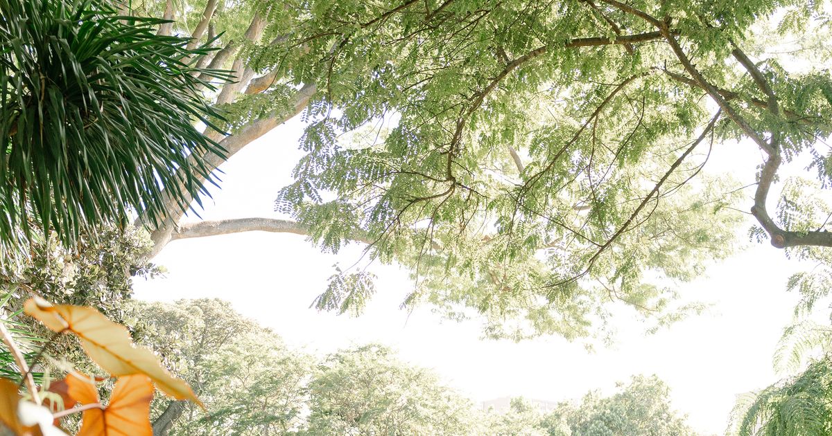 Honolulu on the cheap: Be frugal so you can splurge on the important experiences