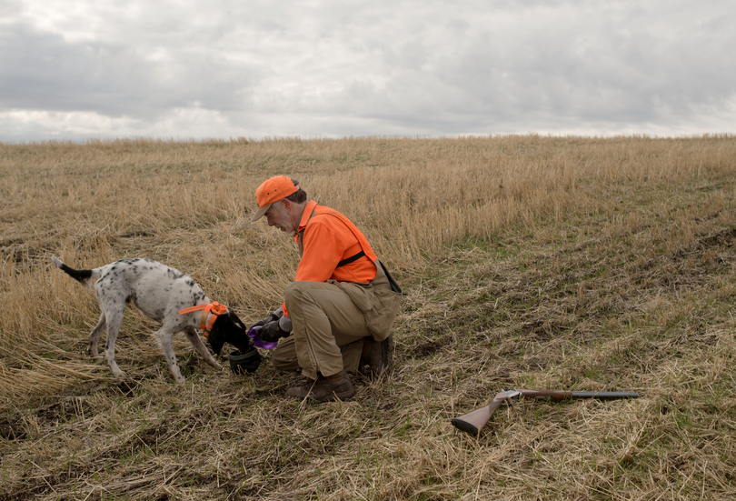 While giving his hunting dog water in the field, Rich Landers practices good firearms safety by breaking open the action of his shotgun and placing it well away from the activity and any possible disturbance by the dog.  (Torsten Kjellstrand)