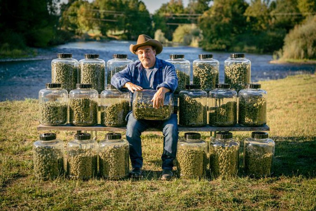 A second season of “Growing Belushi,” the series that follows Jim Belushi on his cannabis farm in Oregon, is coming to Discovery Channel.  (Courtesy of Discovery Channel)