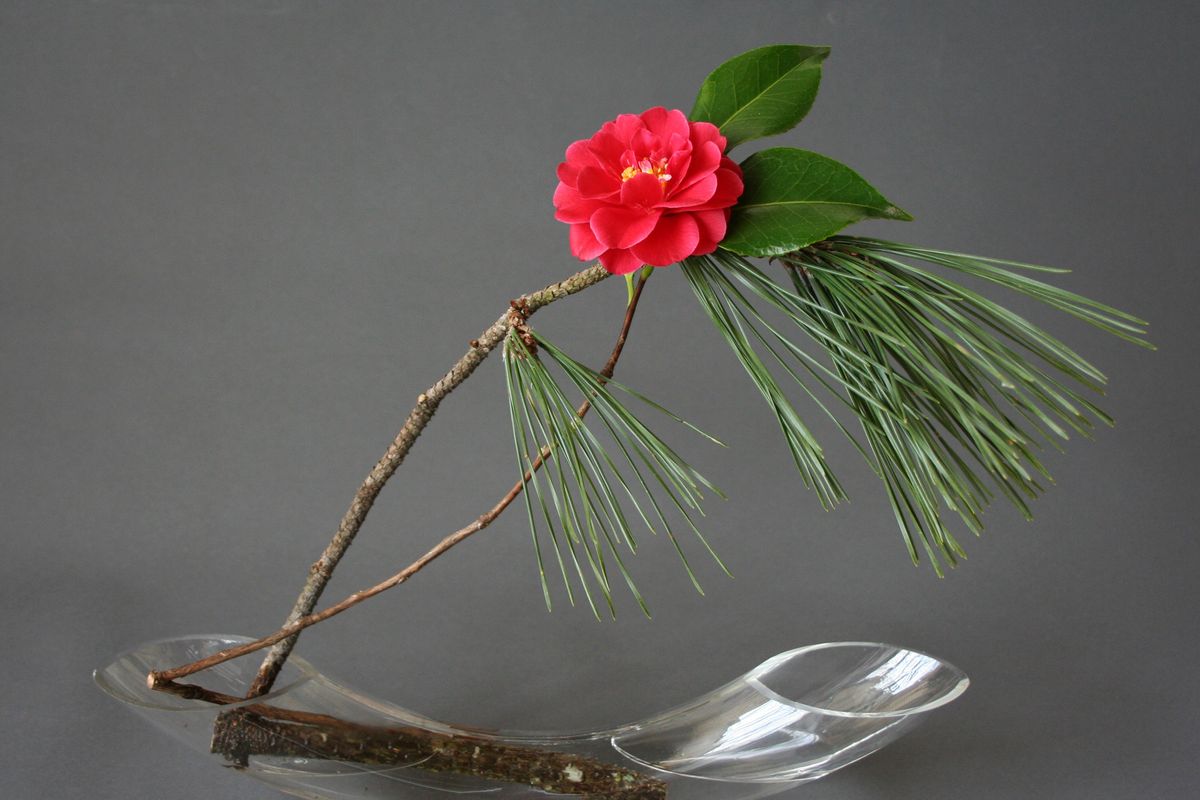 This photo provided by KeithStanley.com shows Ikebana using pine and red camellia. (Associated Press)