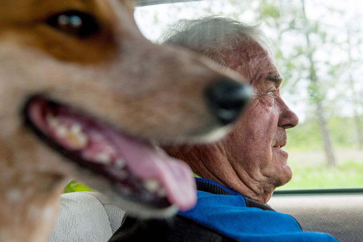 “I can’t think of anything I’d rather do,” says Gordon Sylte, 78, as he drives with his dog, Gypsy Rose, near his farm in Rathdrum on Tuesday, May 21, 2019. Neither age nor a pacemaker has slowed him down. (Kathy Plonka / The Spokesman-Review)