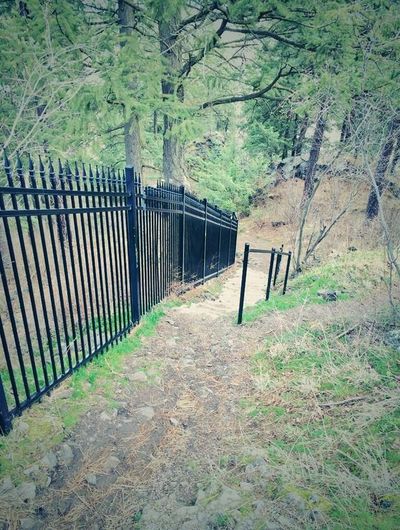 The Tiger Trail on Spokane's South Hill. (Photo courtesy Chris Reilly)