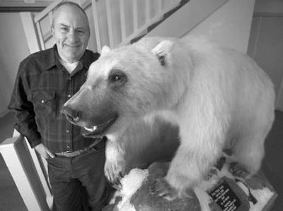 
Jim Martell stands next to a mount of a polar bear-grizzly bear hybrid that sits in the game room at his home in Glenns Ferry, Idaho on Jan. 12.
 (Associated Press / The Spokesman-Review)