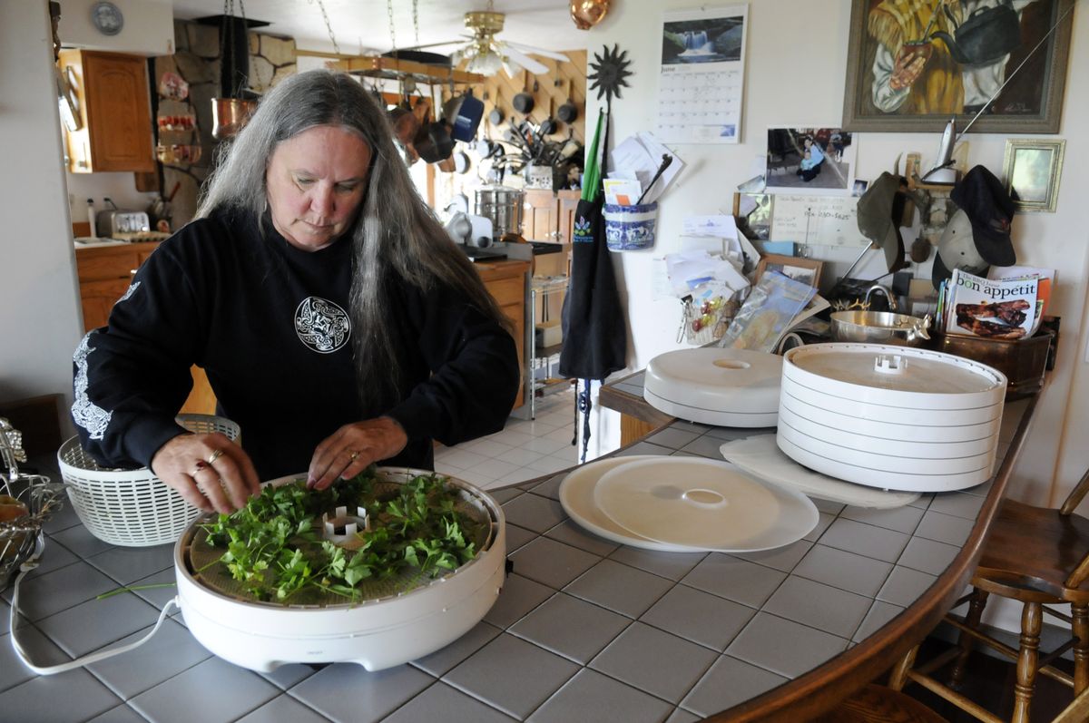 Sheila Domon, who near Airway Heights, spreads parsley in her food dryer Friday. Domon is an avid gardener and dries herbs and other, mostly leafy, plants to preserve them for later cooking. (Jesse Tinsley / The Spokesman-Review)