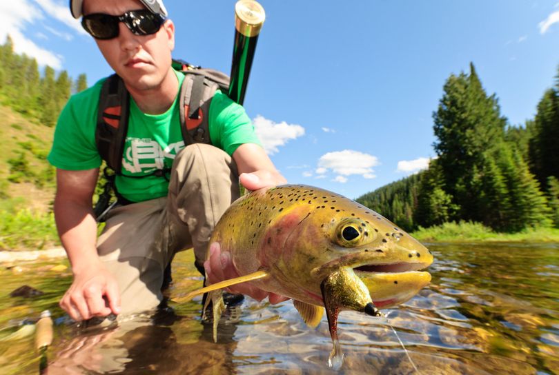 Sean Visintainer, guide and owner of Silver Bow Fly Shop, releases a wild westslope cutthroat trout, a signature species for North Idaho fly fishing streams.
