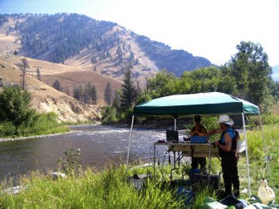 
NOAA researchers tag chinook salmon along Big Creek inside the Frank Church-River of No Return Wilderness Area in Idaho, August 2005. About 2 million fish are tagged each year, and listening posts pick up their signals at some dams on the Columbia River. 
 (Associated Press / The Spokesman-Review)