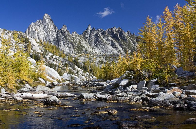 Prusik Peak looms above golden alpine larch during early October in the Enchantment Lakes region of the Alpine Lakes Wilderness near Leavenworth, Wash. (Donna Larsen)