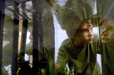 
Jesse Baumbarten, 13, talked about the tadpoles in the fish tank at Panhandle Autism Society in Post Falls on Dec. 12. Jesse has Aspergers Syndrome, ADHD, ODD and depression. He attends the pilot program there. 