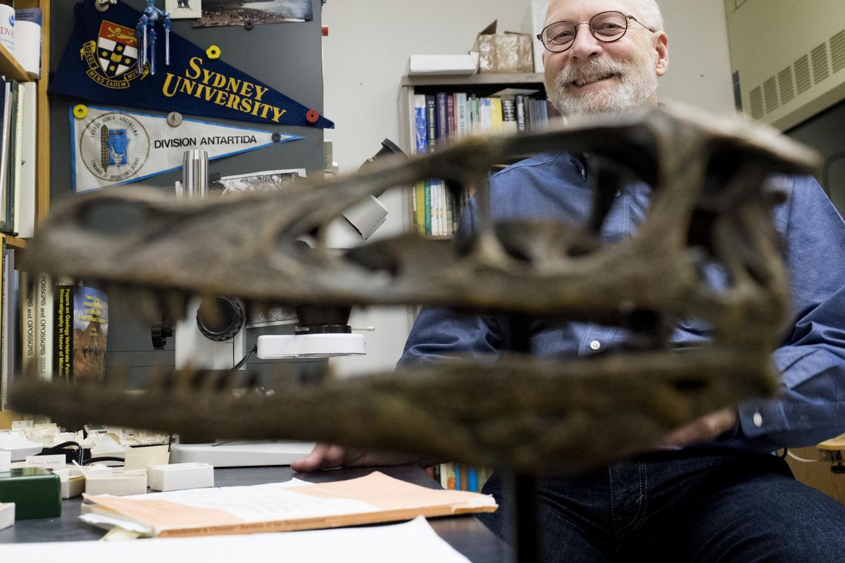 Eastern Washington University professor Judd Case, who discovered a new species of dinosaur in Antarctica in 2004, poses for a photo in his office on Wednesday, Feb. 7, 2018, in Cheney, Wash. The skull in front of Case is a model of a velociraptor. Case said the dinosaur he discovered is larger. (Tyler Tjomsland / The Spokesman-Review)