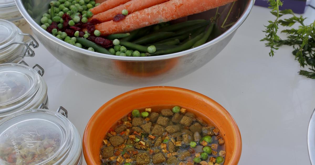 FDA investigating possible link between grainfree dog food and heart