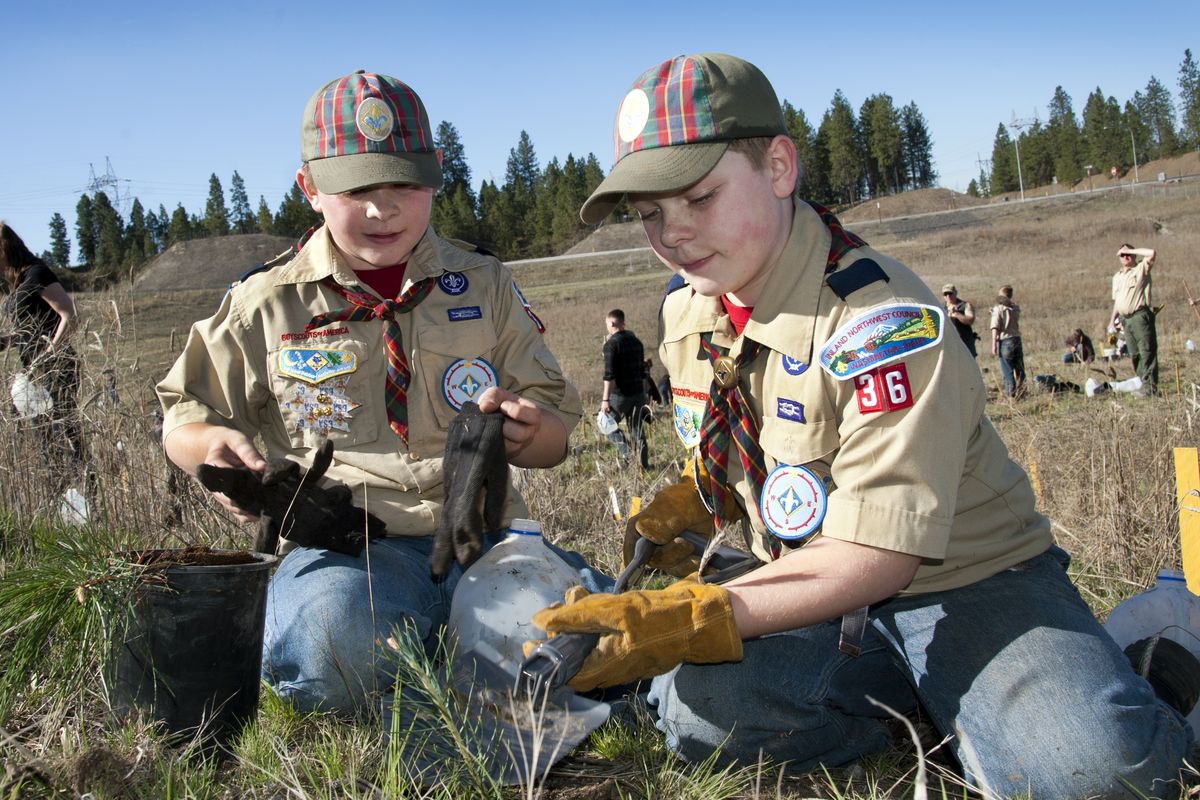 Dylan, left, and Tyler Fiorino dig a hole for one of the pine seedlings the pair planted Saturday in Spokane. (Dan Pelle)