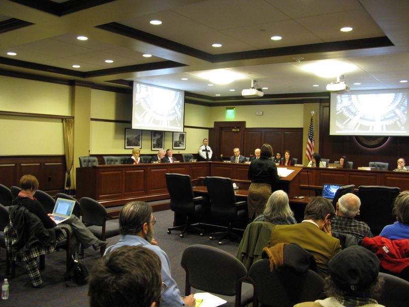 ACLU of Idaho Executive Director Monica Hopkins addresses the House State Affairs Committee on proposed new Capitol grounds use rules on Tuesday morning (Betsy Russell)